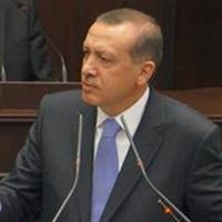 441577050099 441577050099