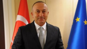 c156bbd0c20c9558ab8d5126a4842949_L