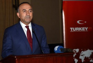 cavusoglu-jpg20141016080356
