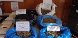 gtabf_1416398320_1839