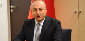 uluslararasi_normlara_uygun_bir_secimdi_1407783432_1066